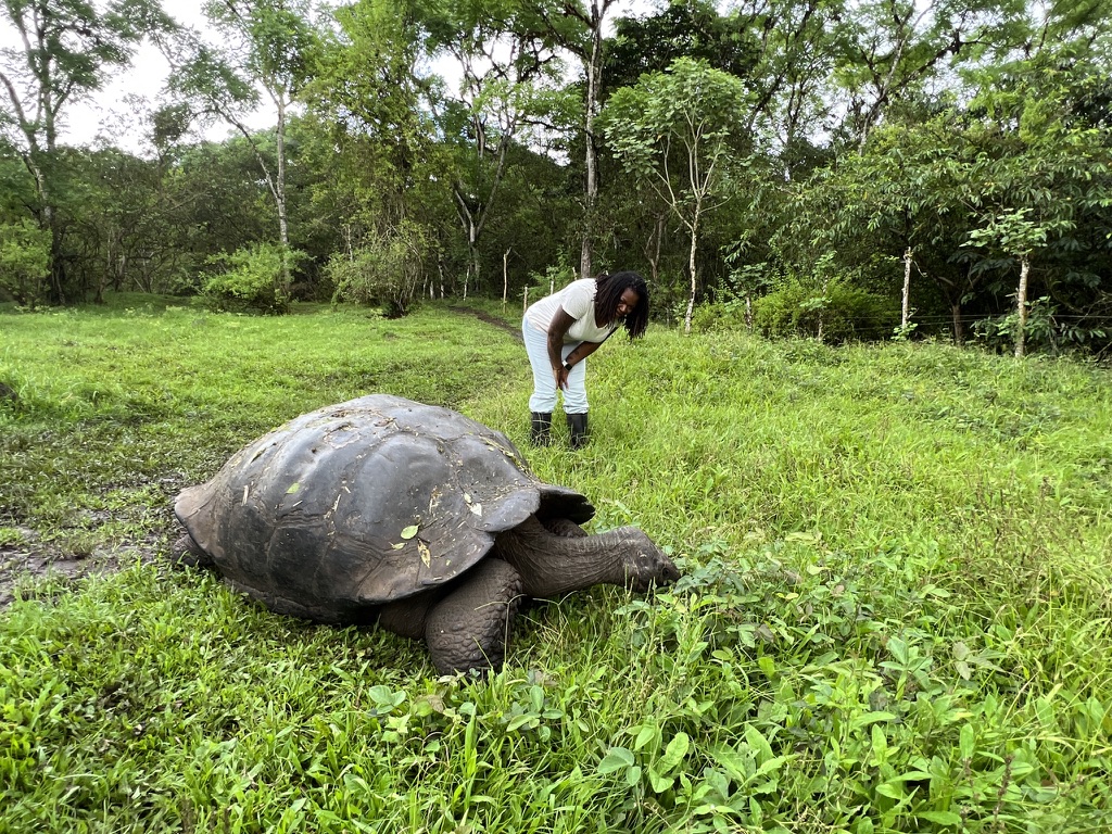 My Galápagos Trip: Wildlife, Sea Turtles, and What Nobody Warns You About