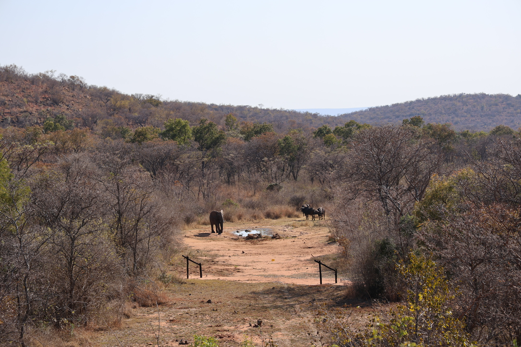 South Africa: My First Safari and the Trip That Taught Me a Few Things About Myself