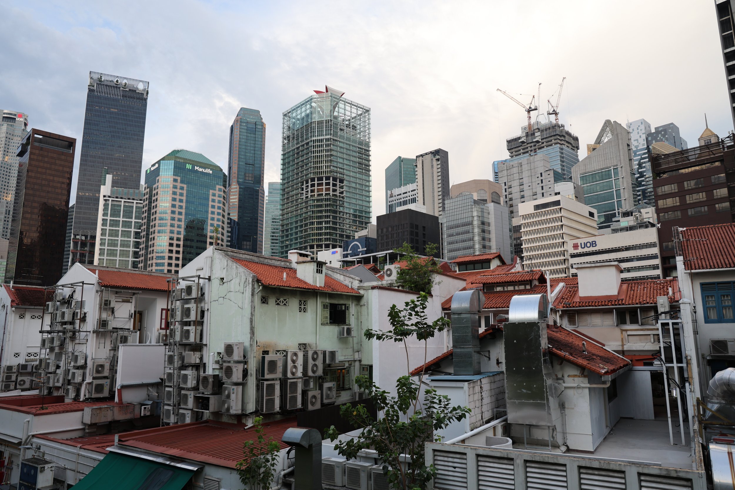 Singapore Layover Guide: What I Did with 8 Hours Outside the Airport
