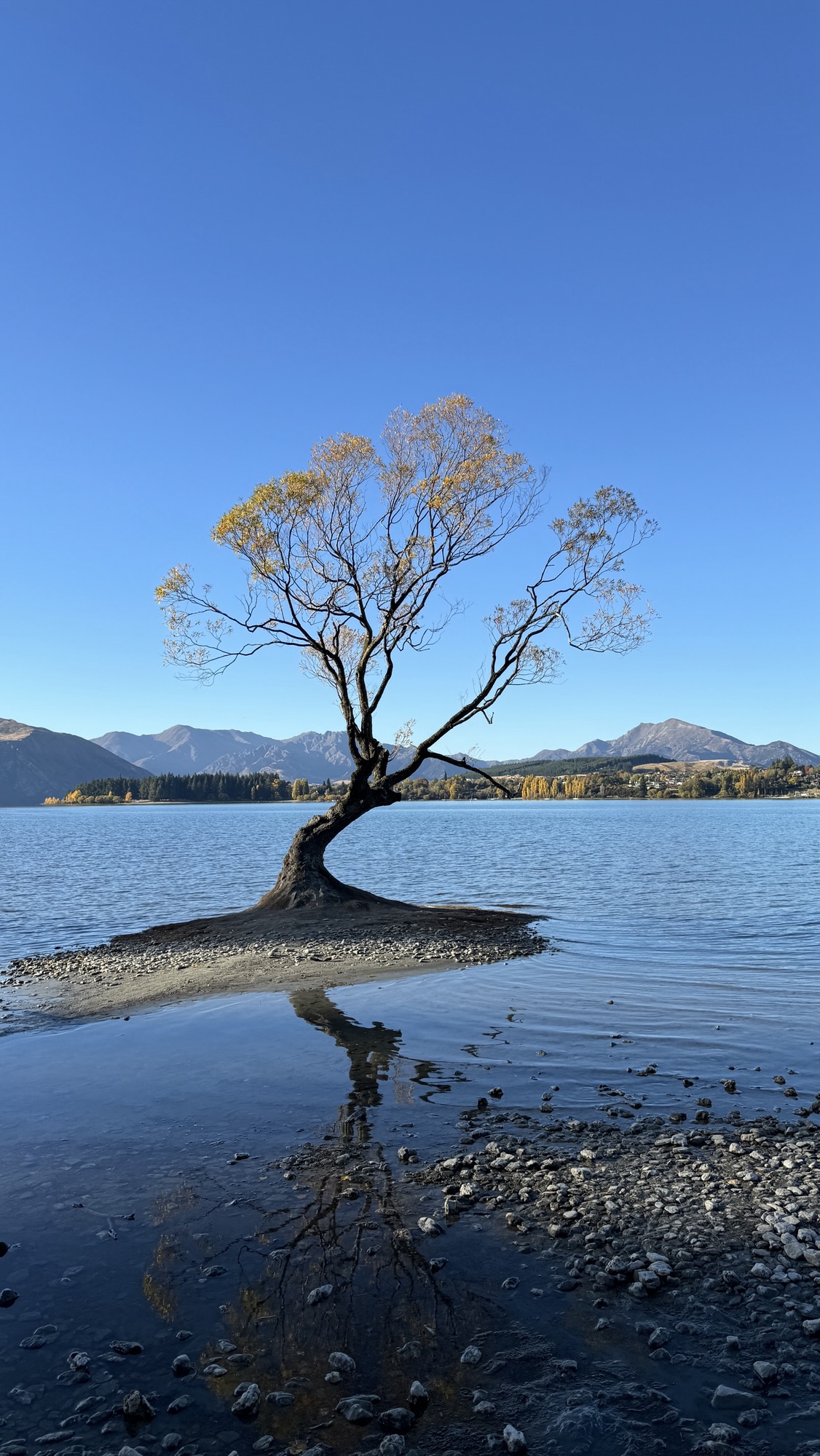 Driving New Zealand’s South Island: Mountains, Lakes, and the Freedom of the Open Road
