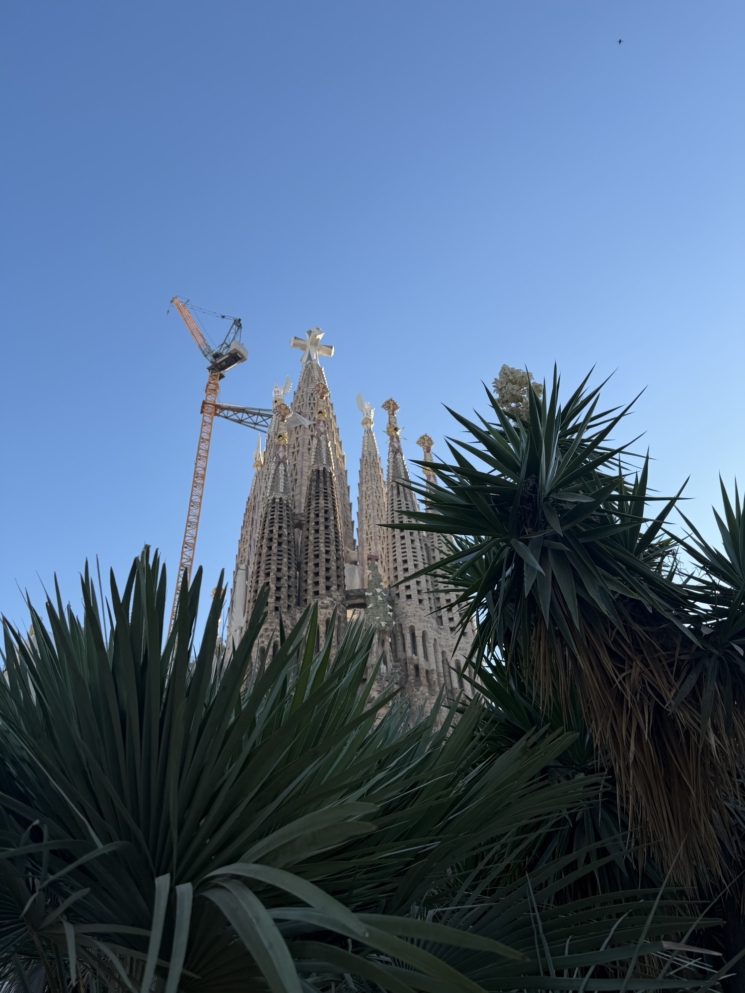 Madrid and Barcelona with Teens: Two Spanish Cities, One Fast-Moving Family Trip