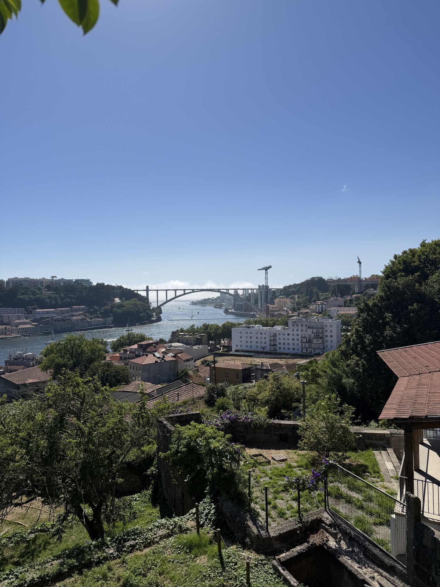 Porto with Teens: River Views, Tile-Covered Streets, and a Slower Kind of Beauty