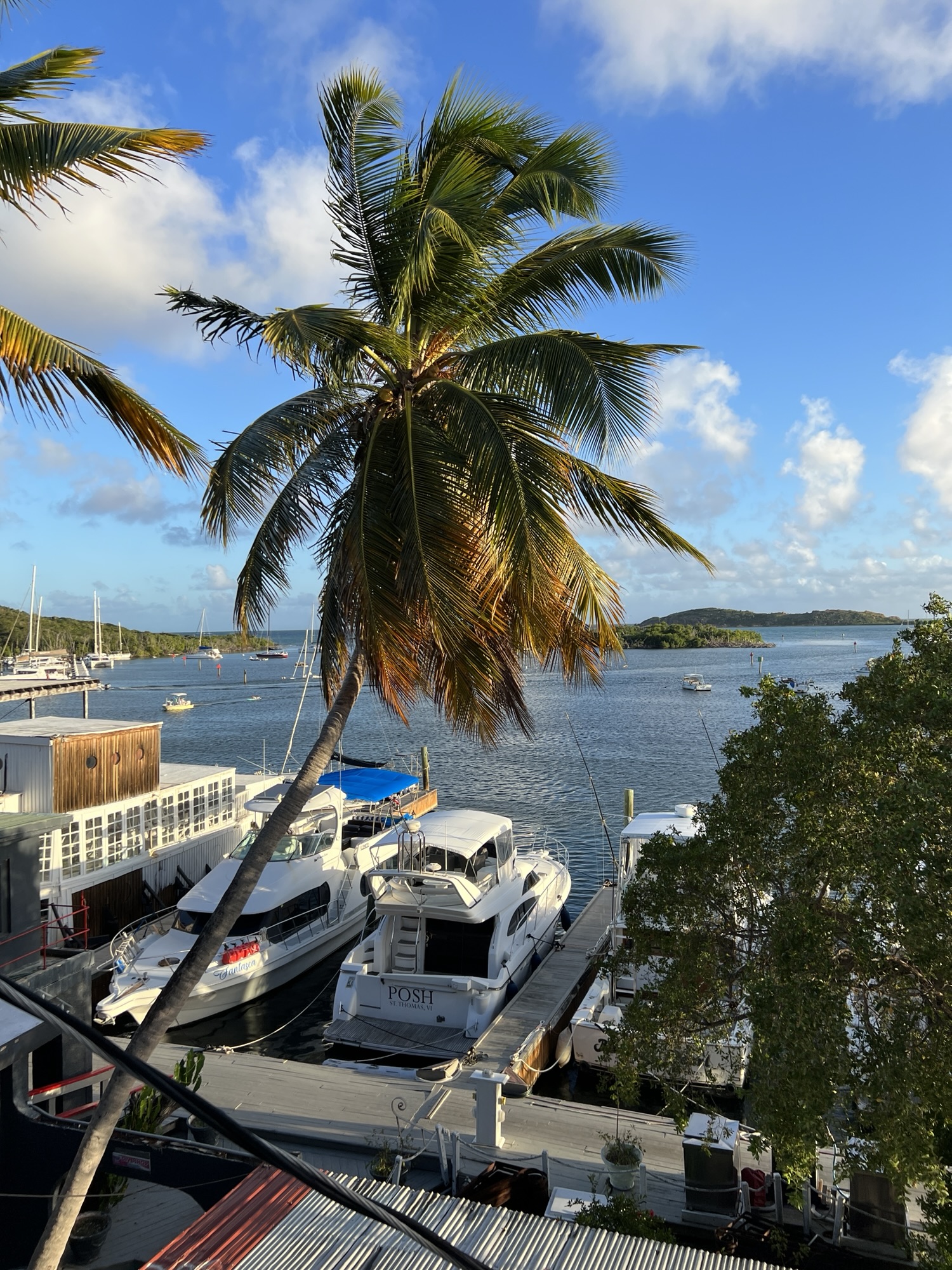 Scuba Certified in St. Thomas: Learning to Dive in Charlotte Amalie