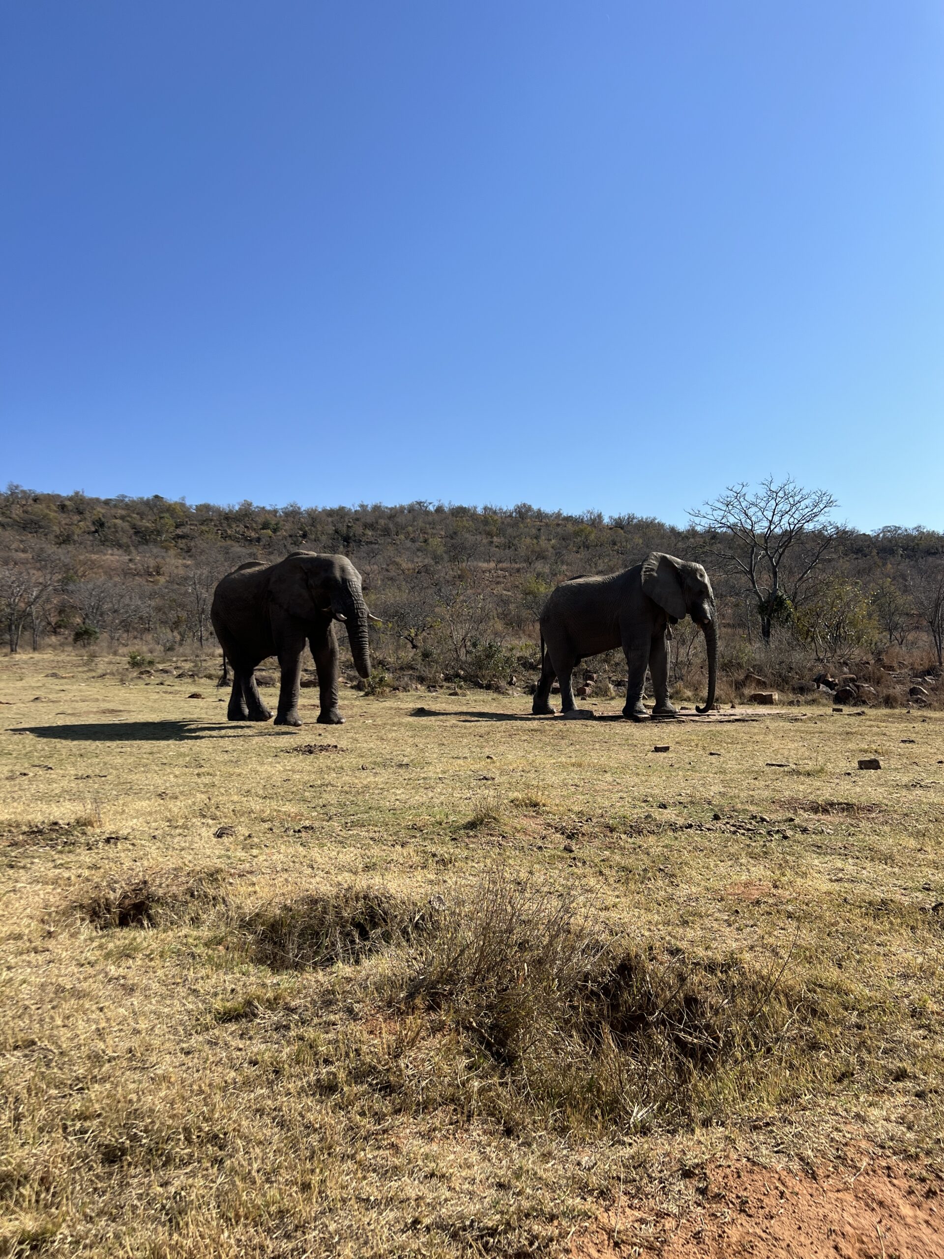 South Africa